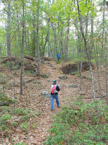 Photo credit to Lea Hardwick