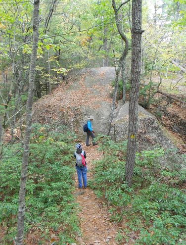 Photo credit to Lea Hardwick 