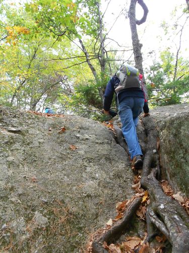 Photo credit to Lea Hardwick