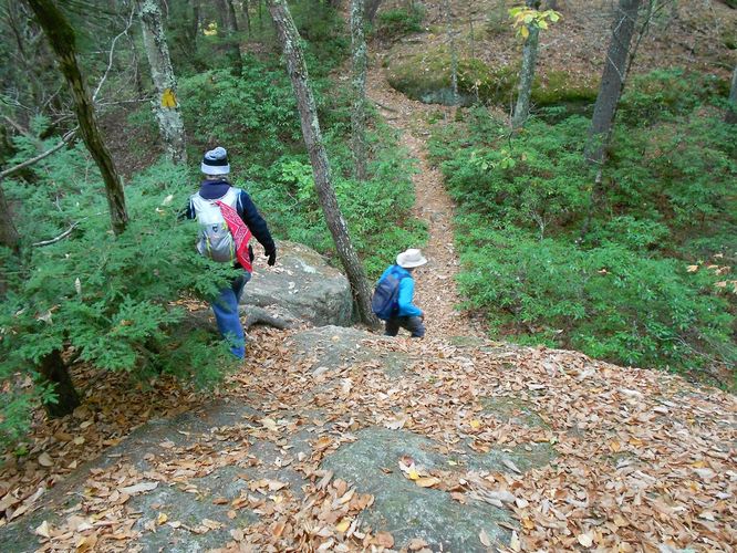 Photo Credit to Lea Harwick