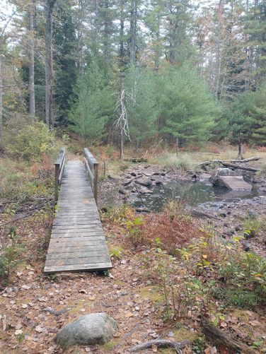 Small wooden bridge over very low waters