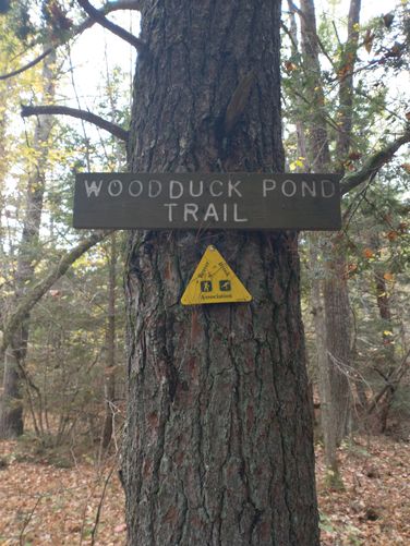 Trail junction signage 