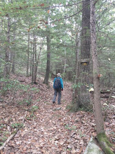 Heading down Rocky Ridge Trail 