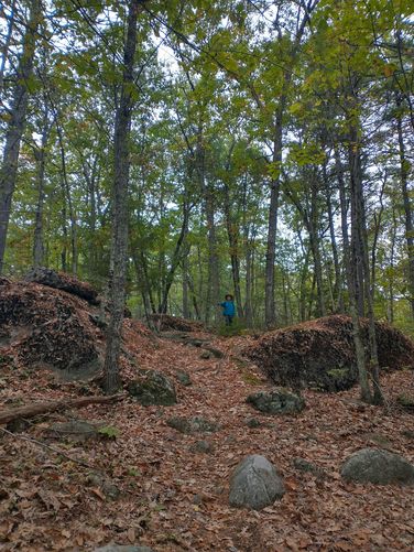 Another rocky scramble on the leaf strewn trail 
