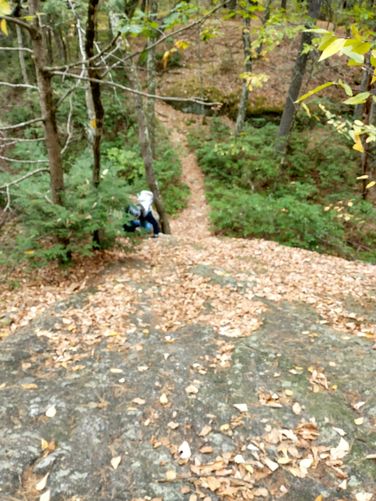 Climbing up the rock face can get easier if you use tree roots to grab onto