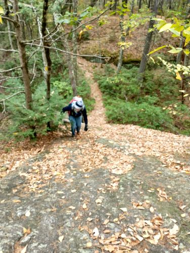 Watch your step on fallen leaves