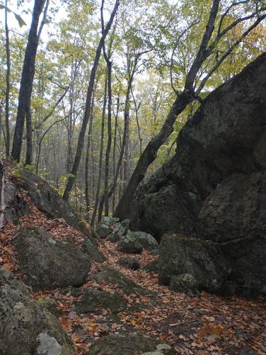 Hard to show just how huge these boulders are 