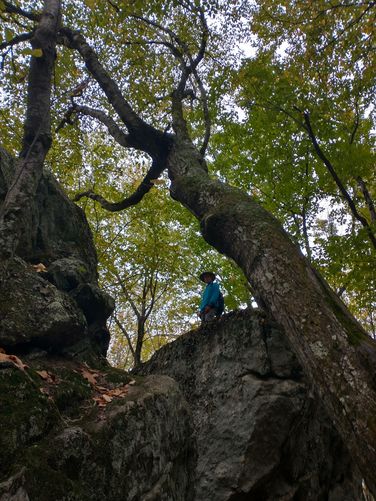 The boulders are huge but fun to explore 