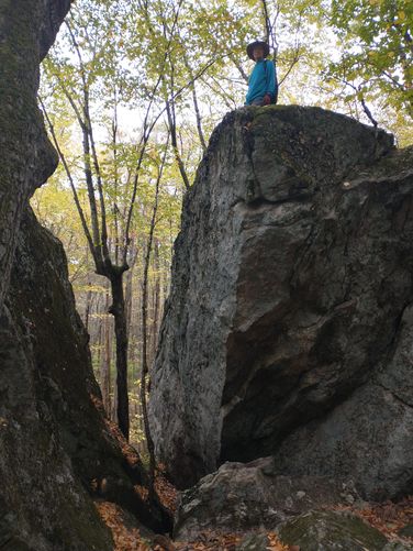 A split in the rock gave a place for a tree to grow 