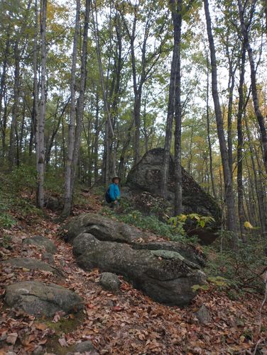 Smaller boulders alongside the trail 
