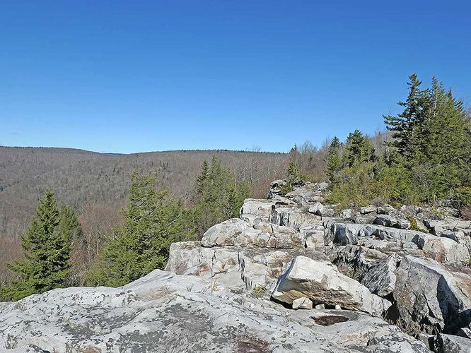 Picture 25 of Rohrbaugh Cliffs Hike 021119