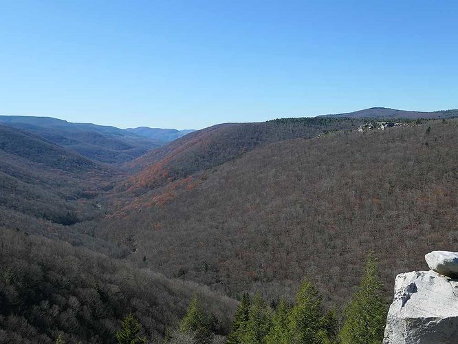 Default image for Rohrbaugh Cliffs Hike, a 4.6-mile trail in Davis, WV (US)