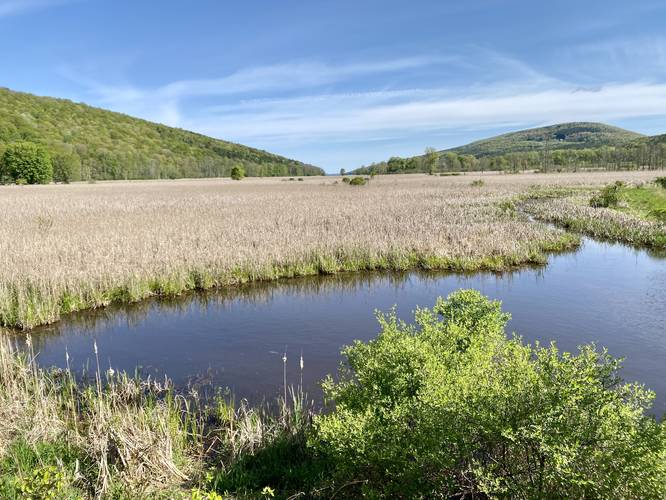 Root's View of the marsh, meadow, and hills