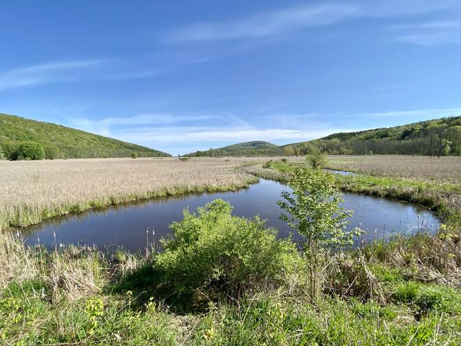 Root's View of the marsh, meadow, and hills