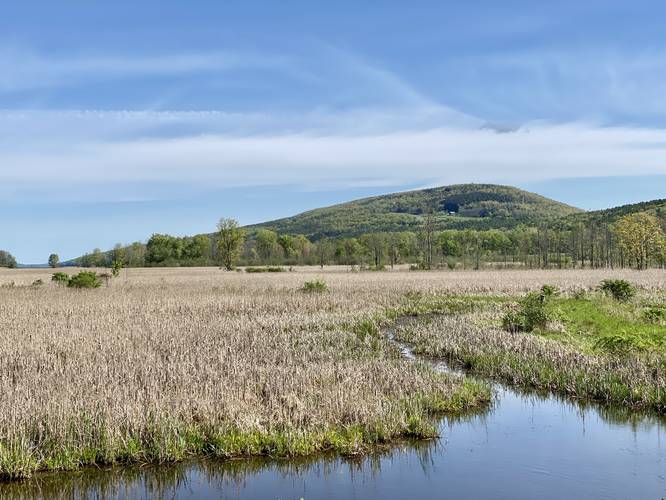 Root's View of the marsh, meadow, and hills
