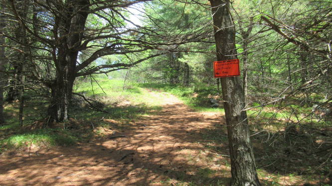 Snowmobile Trail signage