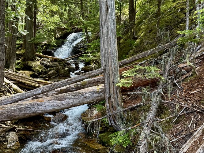 Upper Happy Creek Falls as seen from the footbridge