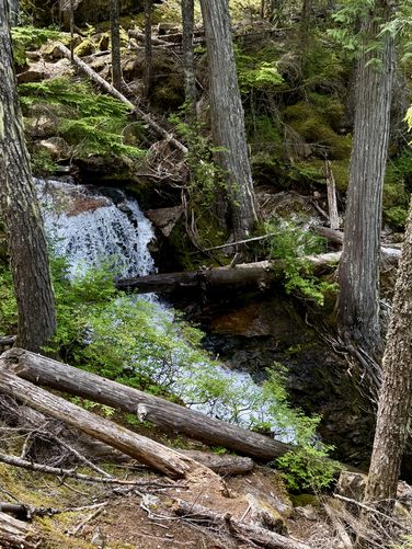 Picture 6 of Ross Dam Trail