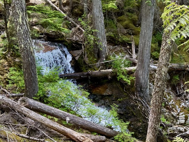 Waterfall in Happy Creek