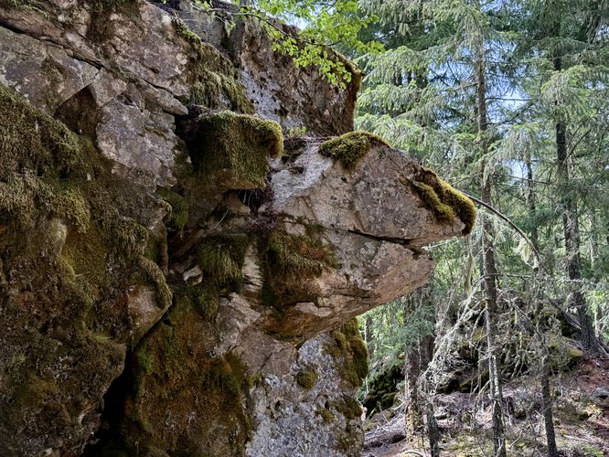 Snapping Turtle Rock