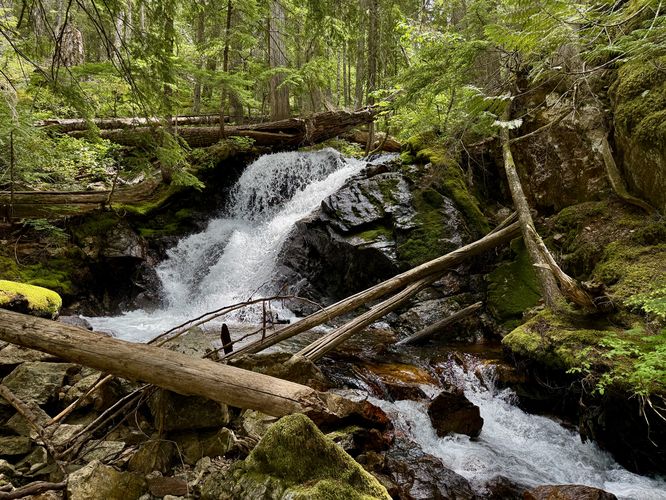 Upper Happy Creek Falls (approx. 15-feet tall)