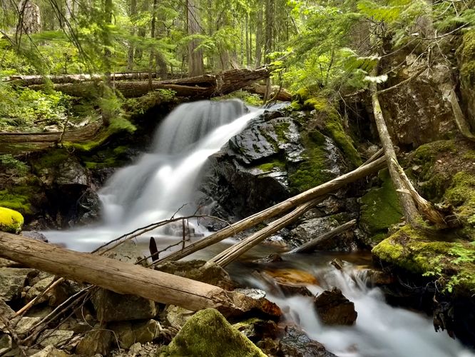 Upper Happy Creek Falls (approx. 15-feet tall)