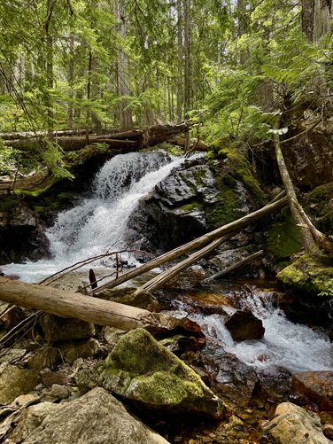 Picture 31 of Ross Dam Trail