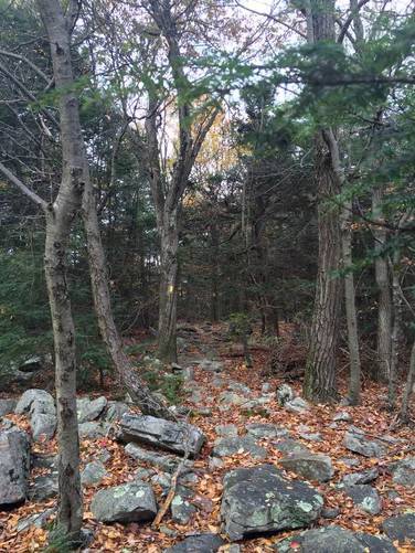 Picture 3 of Rothrock Jackson trail