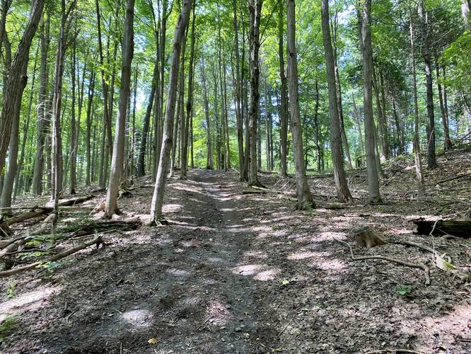 Trail leads to Round Lake