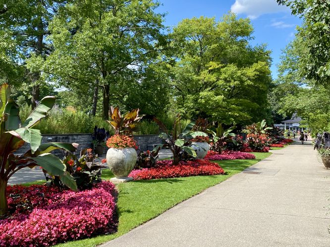 Royal Botanical Garden Walk - Royal Botanical Garden Walk album