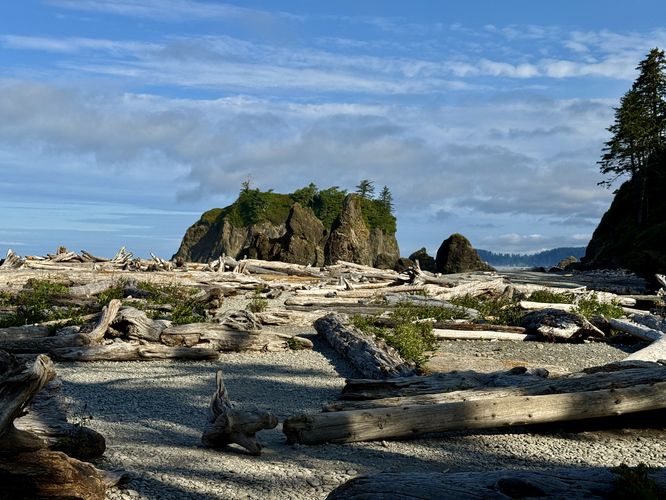 Ruby Beach is littered with driftwood trees (caution)
