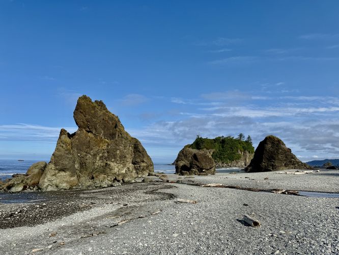Picture 11 of Ruby Beach Trail