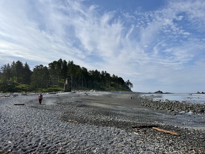 The beach