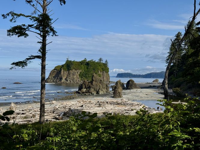 View of Ruby Beach from the trail