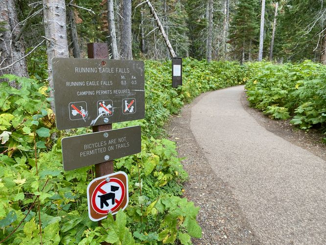 Running Eagle Falls trailhead