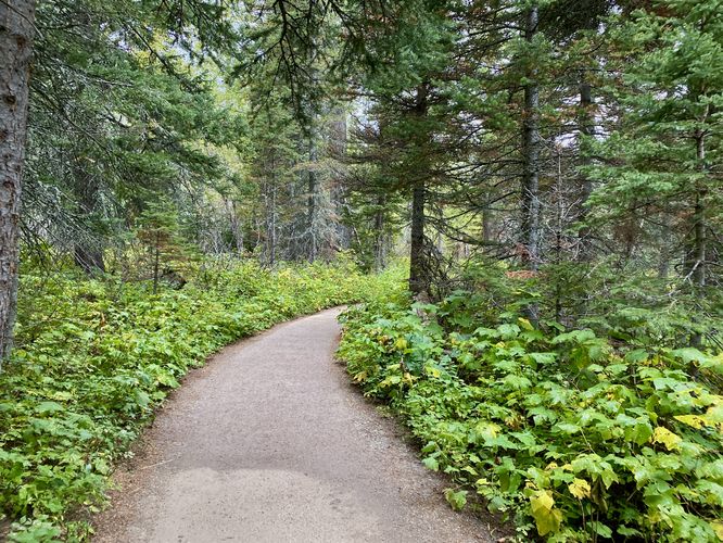 Hiking the Running Eagle Falls Nature Trail