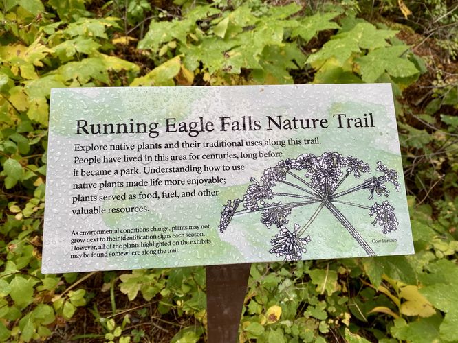 Picture 13 of Running Eagle Falls and Nature Trail