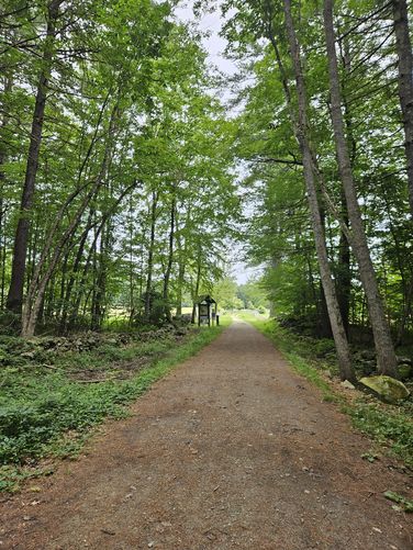 Picture 2 of SLAVOIE525 