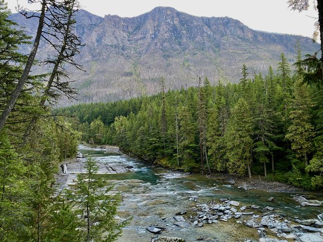 View of Mount Brown and McDonald Creek