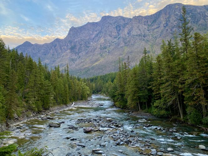 Upstream view of McDonald Creek
