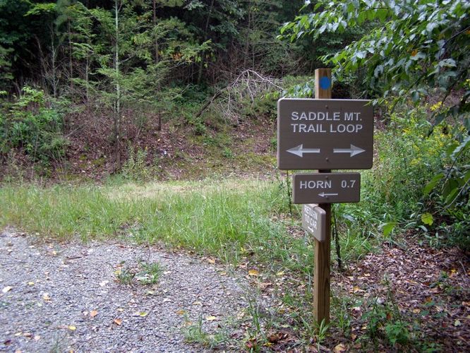 Picture 3 of Saddle Mountain Hike 091414