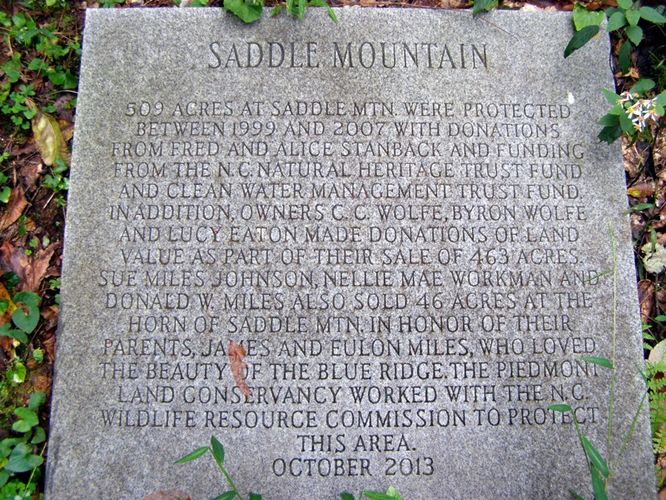 Picture 10 of Saddle Mountain Hike 091414