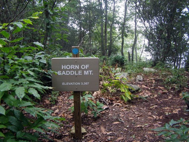 Default image for Saddle Mountain Hike, a 2.9-mile trail in Barrett, NC (US)