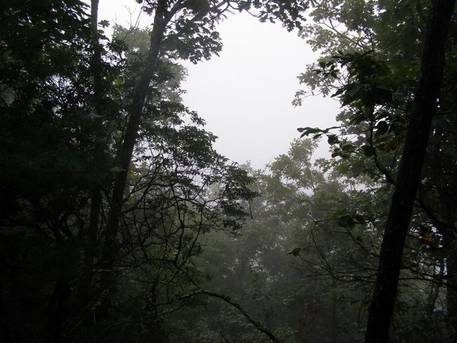 Picture 15 of Saddle Mountain Hike 091414