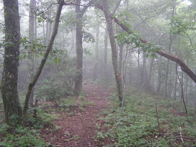 Picture 18 of Saddle Mountain Hike 091414