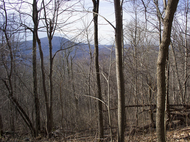 Picture 9 of Saddleback Mountain Hike 021117