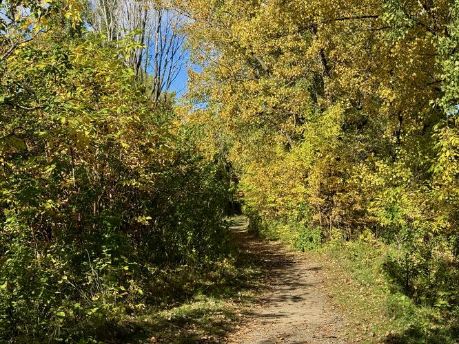 On the hiking-only path on Saint Marguerite Island