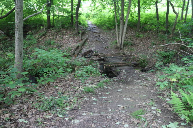 Picture 8 of Salina Tunnel Trail