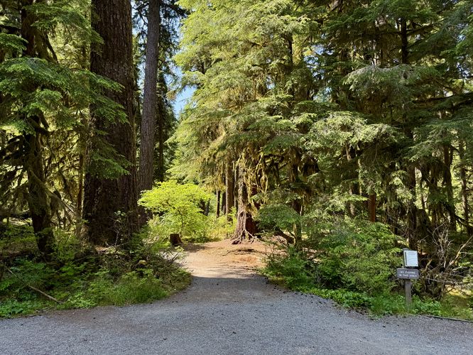 Trailhead for the Salmon Cascades