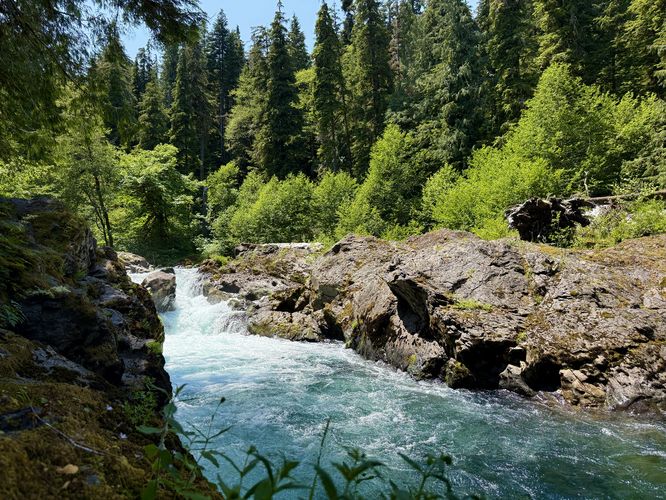 A different perspective of the Salmon Cascades